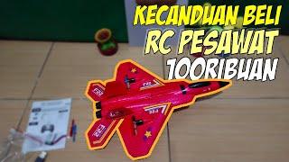 RC Pesawat F22 Raptor made in China: 100ribuan udah bisa terbang