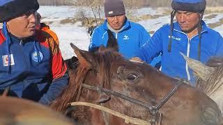 Жалындын аты улакта сатылды