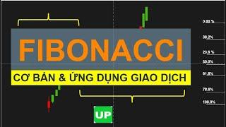 Hướng dẫn cơ bản và thực hành Fibonacci trong giao dịch