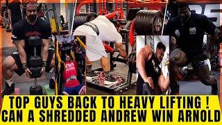 Hadi in full blown off season + Behrooz should do Arnold + Can a shredded Andrew beat Samson & Derek