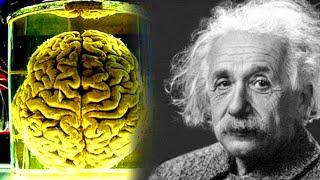 IQ Albert Einstein JAUH LEBIH RENDAH Dibandingkan Orang-Orang Jenius Ini..