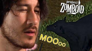 Cows In Project Zomboid | Zomboid Memes