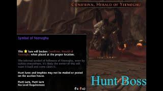 NEVERWINTER MOD 19- T1 HUNT BOSS LOCATION/ SYMBOL OF YEENOGHU - CWNIFRINN,HERALD OF YEENOGHU