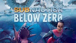 Subnautica Below Zero _ Architect Body Cache & Cotton Anemone