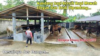 Review Kandang Sapi Bersih Rapi Dan Elegan....Serta Ukuran Dan Biayanya...