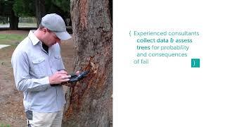 Civica ArborSafe - Leaders in Tree Management Solutions