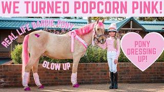 WE TURNED POPCORN PINK!! PONY DRESSING UP * HORSE MAKEOVER *