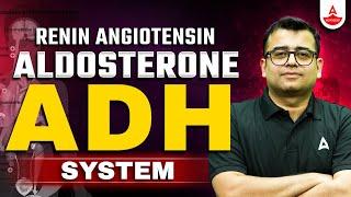 Renin Angiotensin Aldosterone System | NEET 2025 | Antidiuretic Hormone (ADH) System | Nomesh Sir