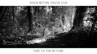 Much Better, Thank You feat. Fredrik Kinbom - Part of The Picture (Official Video)