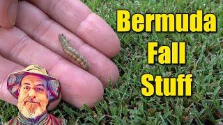 Bermuda Lawn Care Fall Products