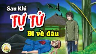 Người Tự Tử Khi chết đi Linh Hồn họ sẽ đi về đâu, sẽ ra sao ? LỜI VÀNG PHẬT DẠY