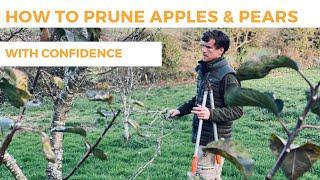 How to Prune Apple & Pear Trees With Confidence