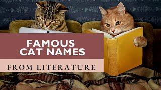 500+ Famous Literary Cat Names for Your Pet