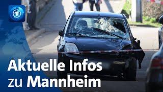 Mannheim: Mindestens ein Toter, mehrere Verletzte und Festnahme