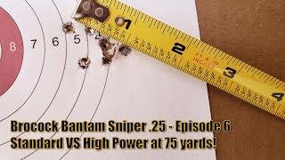 Brocock Bantam Sniper HR Episode 6: Standard vs High Power at 75 Yards!