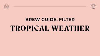 Brew Guide - Tropical Weather Filter