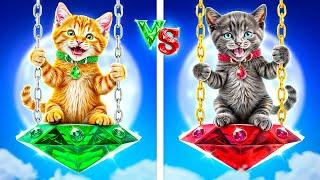 How to Make a Secret Room for Kittens! Ruby Cat vs Emerald Cat!