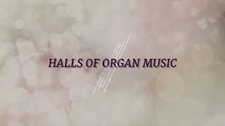 Concerts in Moscow – concert halls where you can listen to organ music in Moscow