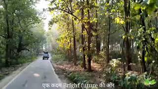 jungle safari in Jim Jim Corbett National Park , bright future