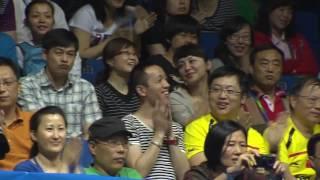 Lin Dan 2011 I | Badminton Player Highlights