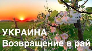 Украина. Возвращение в рай. Жизнь в украинском селе 1ч Ukraine. Return to Paradise. Life in Village