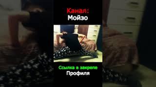 Канал Мойзо, ссылка в закрепе профиля! #shorts