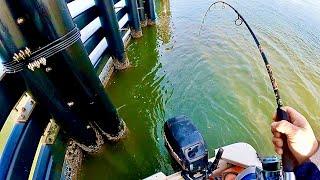 BRIDGE SLOBS - Mid January Fishing