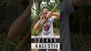 Eskrima Six Strike combo # 1- kali double stick tutorial