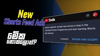 How to Accept New YouTube Partner Program Terms 2023 (Shorts feed ads)