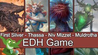 The First Sliver vs Thassa, Deep-Dwelling vs Niv-Mizzet, Parun vs Muldrotha EDH / CMDR game play