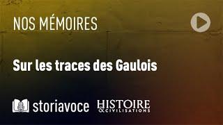 Sur les traces des Gaulois, avec Laurent Olivier