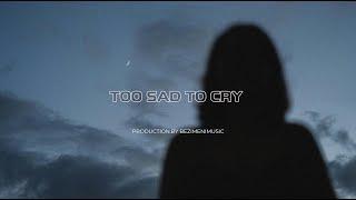 FREE| Sad Pop Type Beat 2024 "Too Sad To Cry" Guitar Instrumental