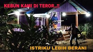 KEBUN KAMI DITEROR..!! ISTRIKU LEBIH BERANI || MALAM YANG MENEGANGKAN BERSAMA ISTRI