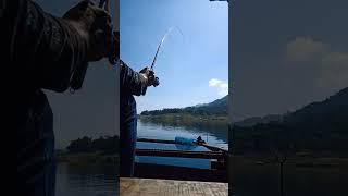 mancing di waduk wadaslintang ikan nilanya besar besar lekukan joran yang indah