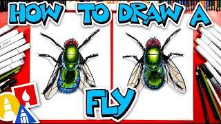 How To Draw A Realistic Fly