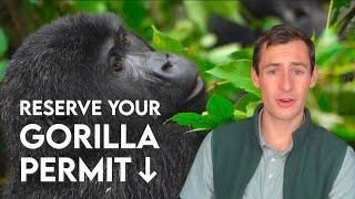 Gorilla Trekking Permits: How to Book and Details You Should Know (Uganda/Rwanda)