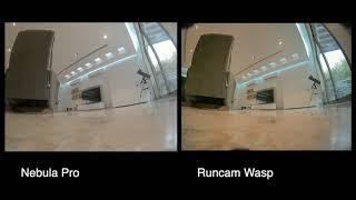 Caddx Nebula Pro vs  Runcam Wasp