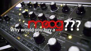 Why would you buy a Moog synth ? - in modular with love -