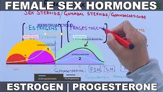Female Sex Hormones | Estrogen & Progesterone
