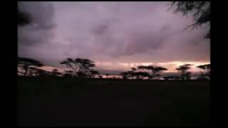 Sayari Camp | Serengeti Safari