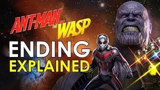 Ant Man And The Wasp: Post Credits Scene Explained (FULL SPOILERS)