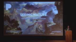 The Nature of Seeing: Art, Perception, and the Brain – David Wilson