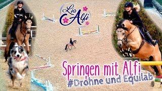 Lia & Alfi - Springen mit Alfi und Equilab - Aufnahmen mit Drohne