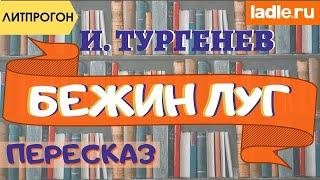 Краткий пересказ простым языком. Что означает Бежин луг? Краткое содержание произведения. Тургенев