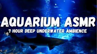 Underwater ambience, deep fish tank video asmr for long hours of Relaxing