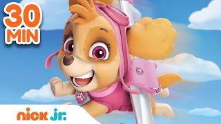 Best of Skye  PAW Patrol! | 30 Minute Compilation | Nick Jr.