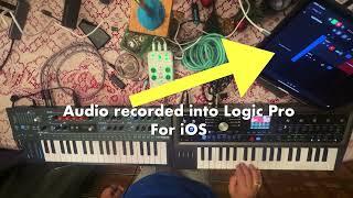 2 Synths, 1 iPad, 1 Take,AMBIENT Jam/ Day 13 #Jamuary2025