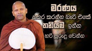 මරණය නතර කරන්න බැරි එකේ තනියම ඉන්න හරි පුරුදු වෙන්න | Niwana Soya | Niwathapa Thero