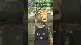 Козёл #vtuber #витубер #втубер #funny #roblox #memes #аниме #funny #мем #cat  #animation