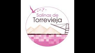 Salinas de Torrevieja  The salt train tour in Torrevieja
